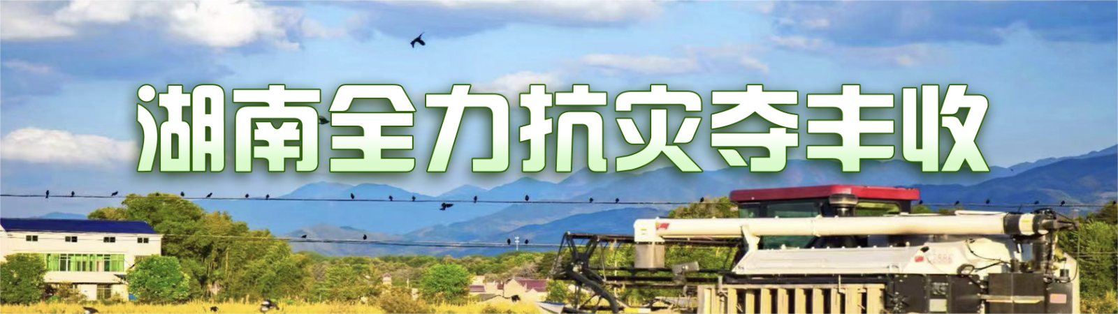 湖南全力抗災奪豐收